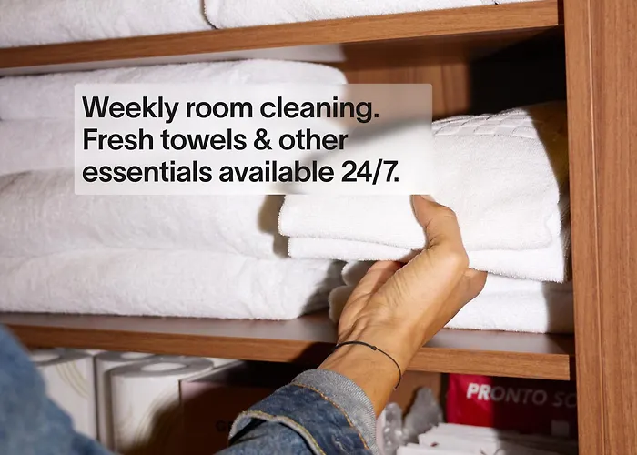 Yays Amsterdam Salthouse Canal By Numa